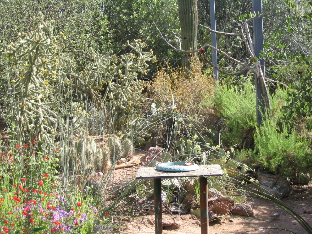 618x457 pixels (324K)